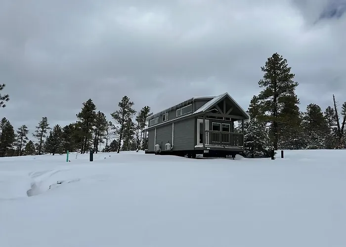 Cozy By Forest View 2b * Williams