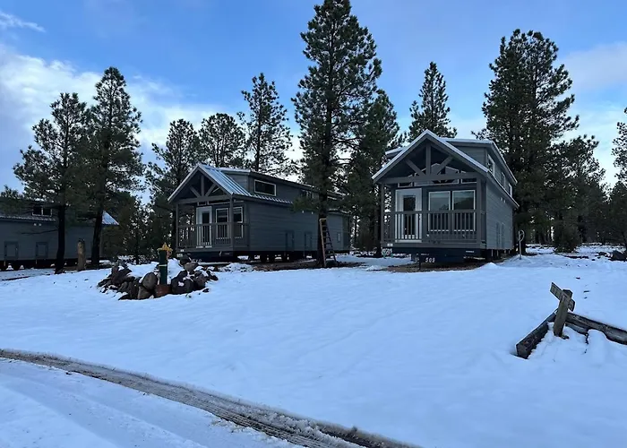 Cozy By Forest View 2b